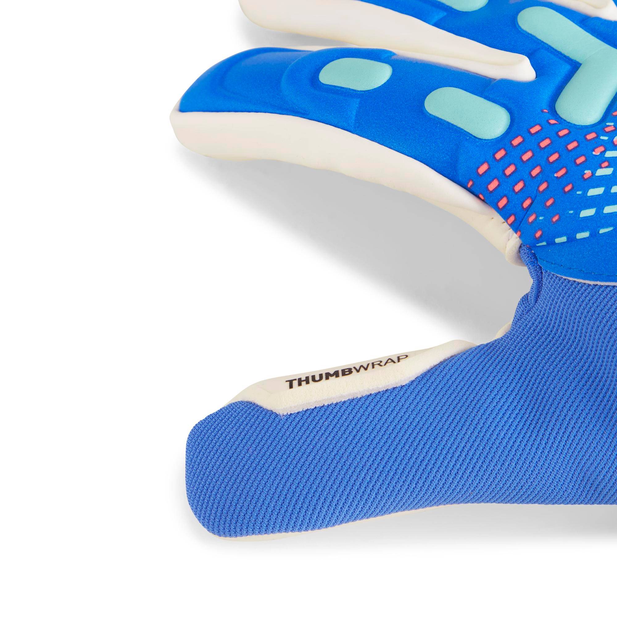 PUMA FUTURE Match Goalie Gloves Puma