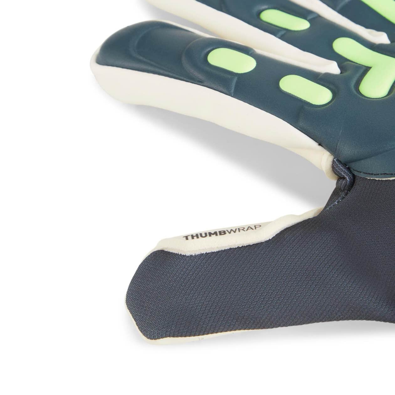 PUMA FUTURE Match Goalie Gloves Puma