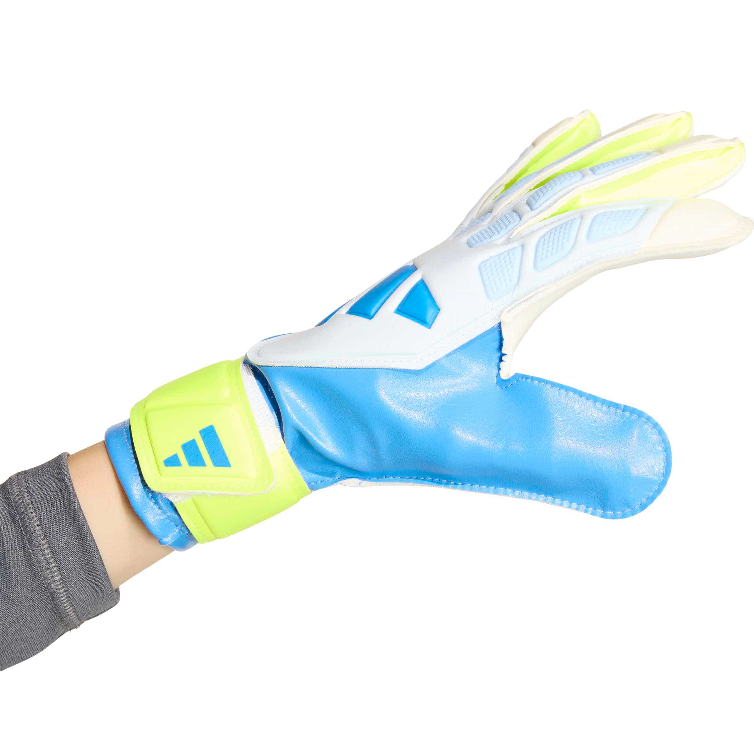 adidas Predator Training Goalkeeper Gloves Jr. Goalkeeper Gloves adidas