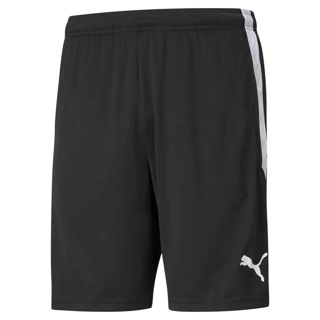 PUMA TeamLIGA Training Shorts Training Shorts Puma Black S